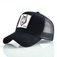 Wolf