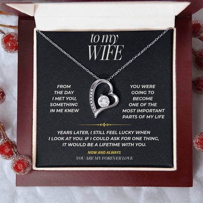 S100 - You Are My Forever Love – Forever Love Necklace From Husband