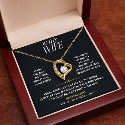 S100 - You Are My Forever Love – Forever Love Necklace From Husband