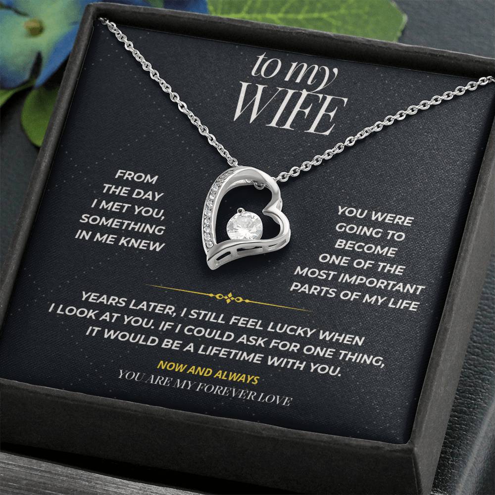 S100 - You Are My Forever Love – Forever Love Necklace From Husband