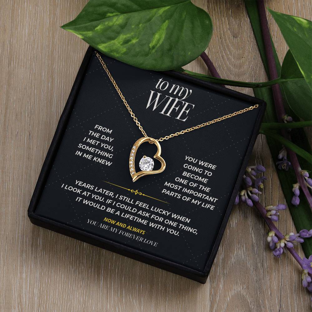 S100 - You Are My Forever Love – Forever Love Necklace From Husband