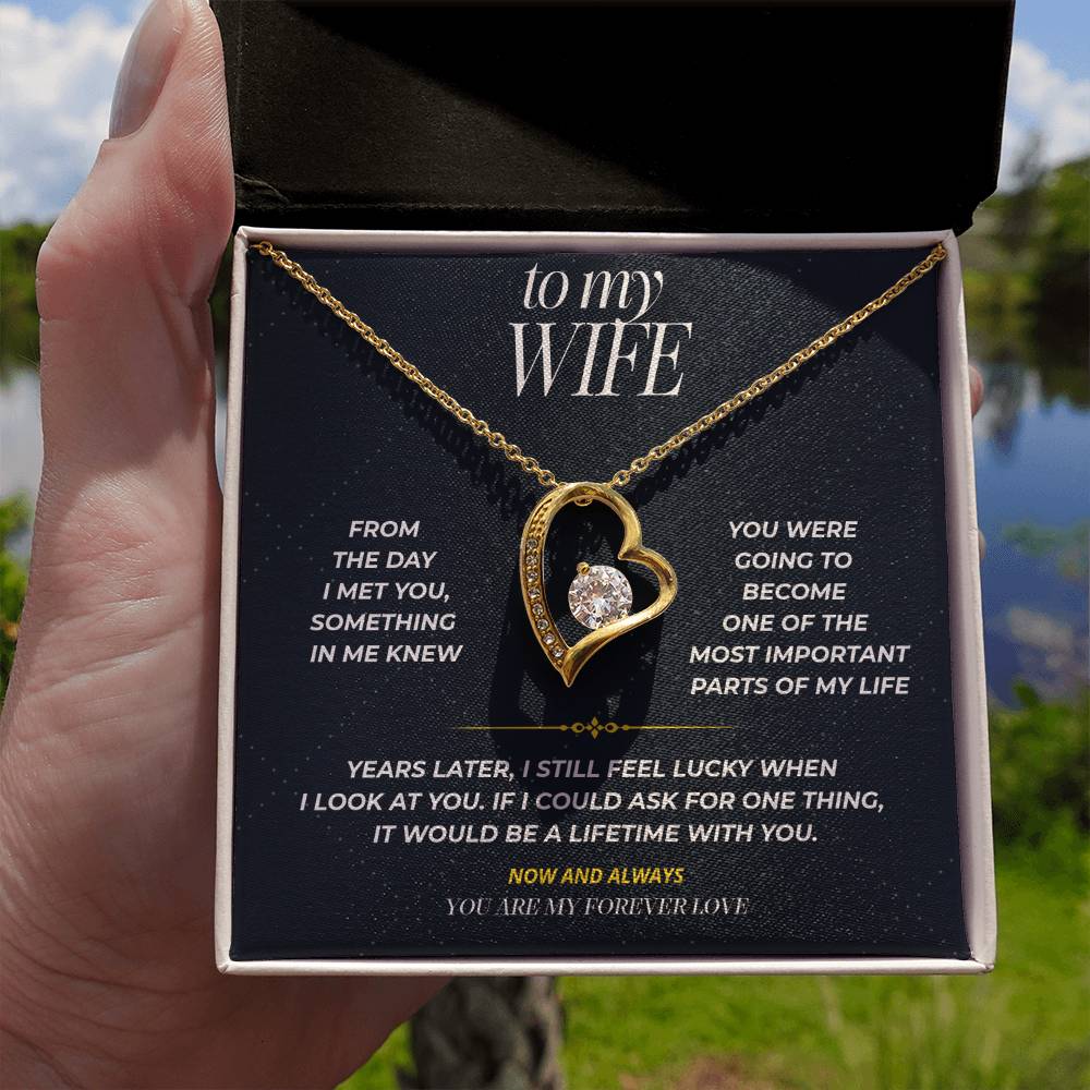 S100 - You Are My Forever Love – Forever Love Necklace From Husband