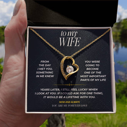 S100 - You Are My Forever Love – Forever Love Necklace From Husband