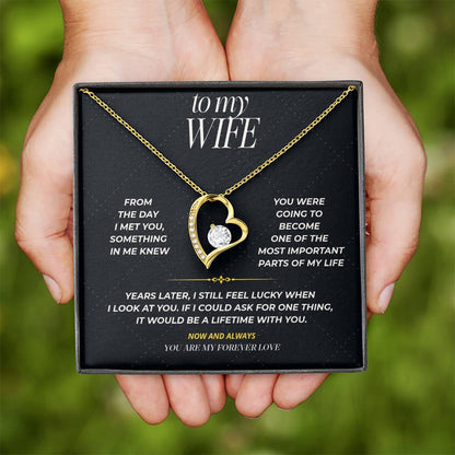 S100 - You Are My Forever Love – Forever Love Necklace From Husband