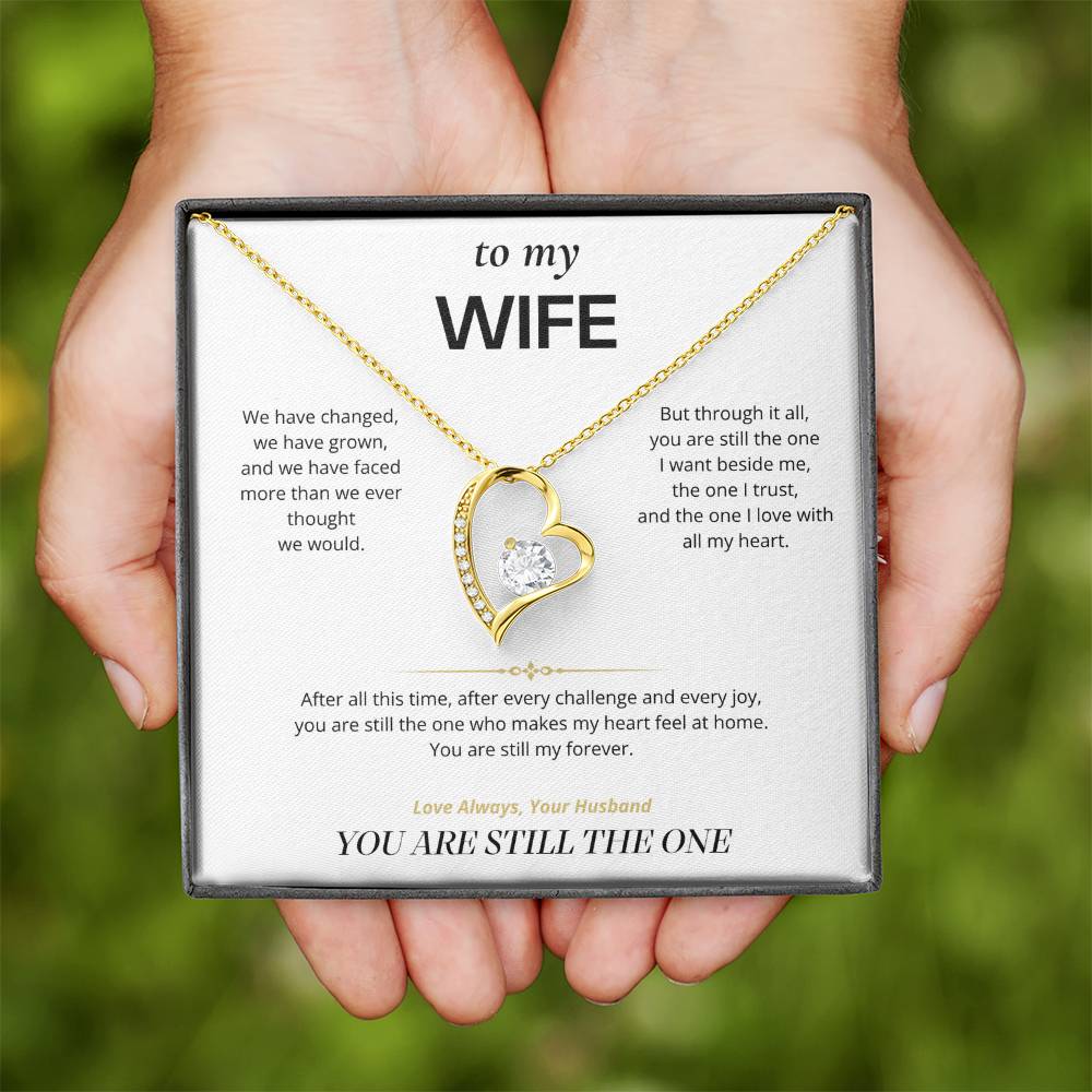 S4 - You Are Still The One – Forever Love Necklace From Husband