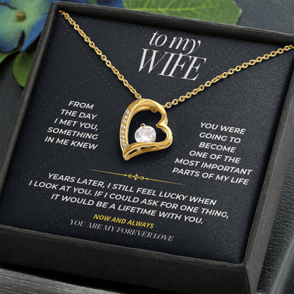S100 - You Are My Forever Love – Forever Love Necklace From Husband